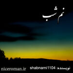 دانلود رمان نم شب از Shabnami1104