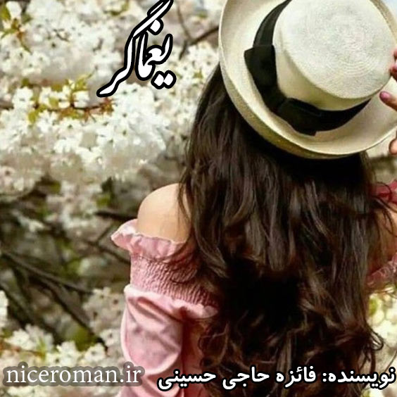 دانلود رمان یغماگر از فائزه حاجی حسینی